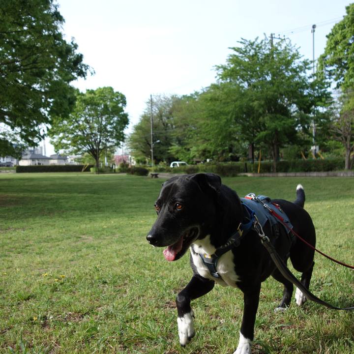 915d531a a3dc 48ab b9b9 57d249a19bd4 1713568368767