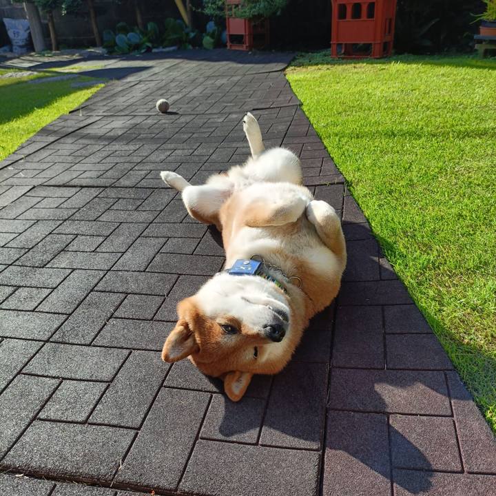 915d81c0 d6f3 4fc6 9b90 6b762a97fdb8 1789690551706