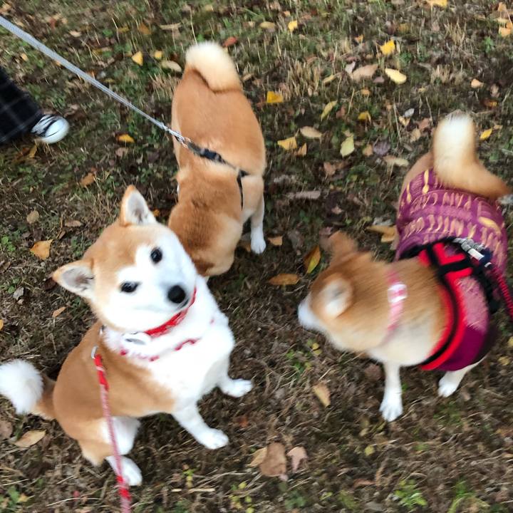 915d8a07 6495 40f3 a194 3b7ef1ca836b 1639092794915