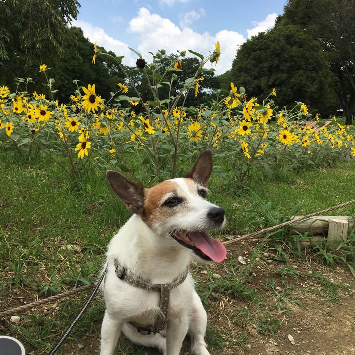 915e41af 1b52 499a 9748 e6fbff8e7422 1627778435838