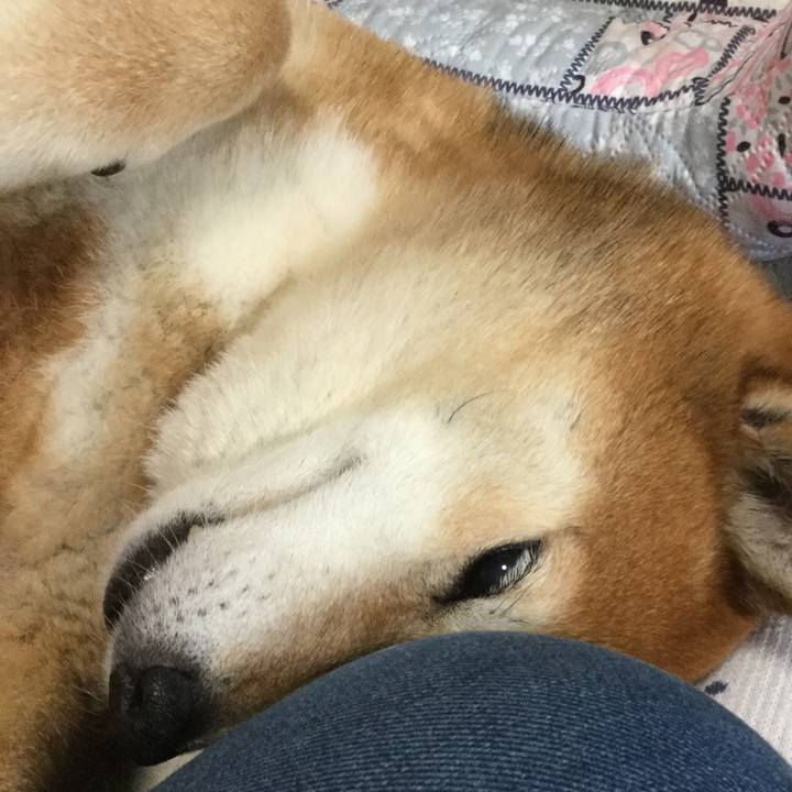 915e77c9 9036 45e0 a9c4 e4b3c696ede0 1621222093988