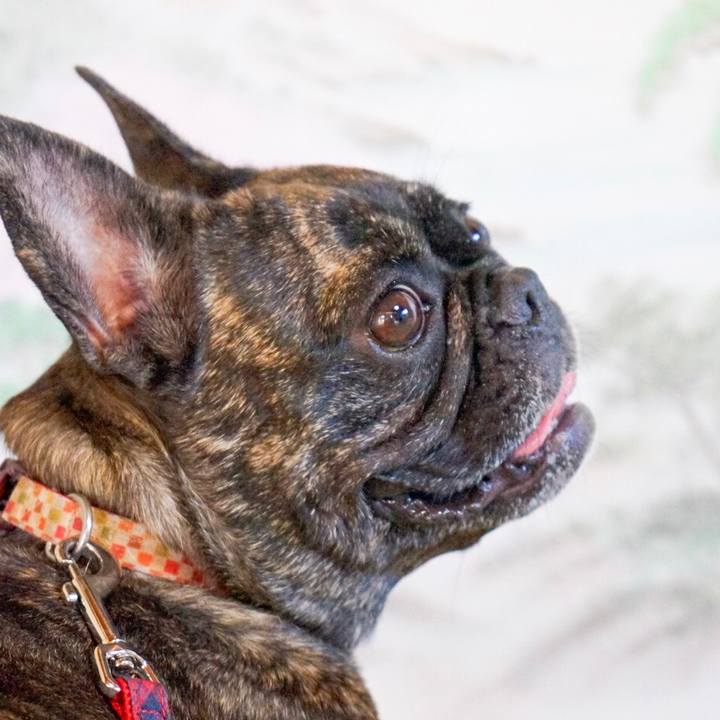 915edccb 7fb2 4470 b6ea 21a78b6e7b56 1568590389254