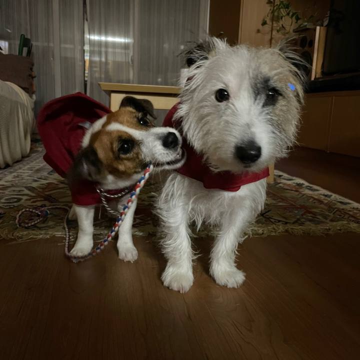 915eeb54 758e 4b7e 9b3a c9807e692c1b 1637836792368