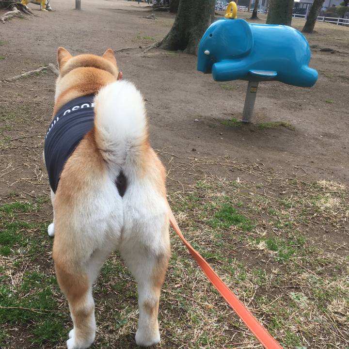 915f1818 381a 4840 8895 6769b085f9ee 1551413478149