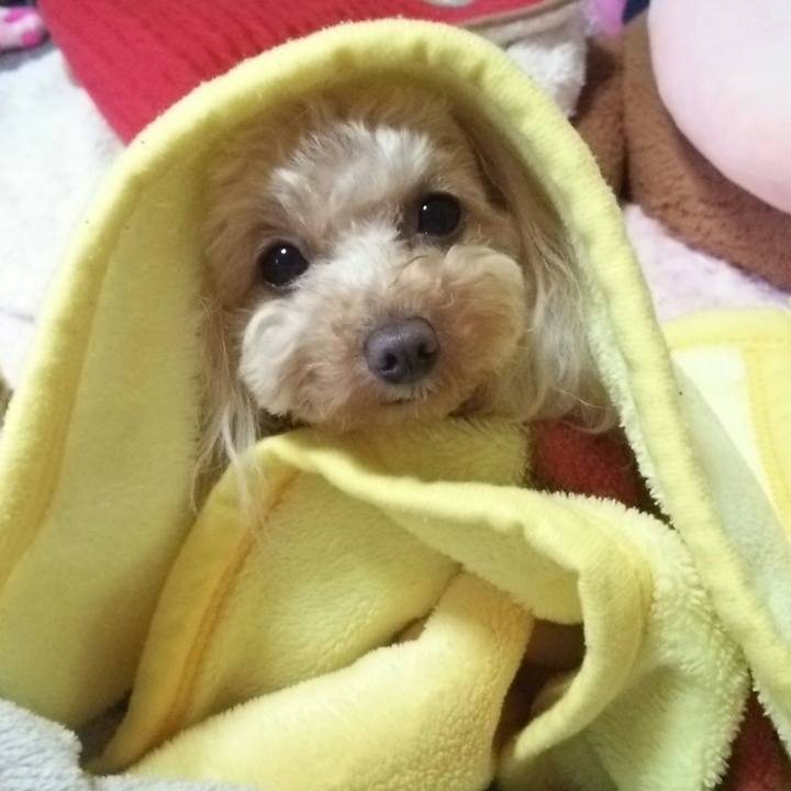 915f52f7 5d7d 4fde b531 481bef2c87f9 1519996027389