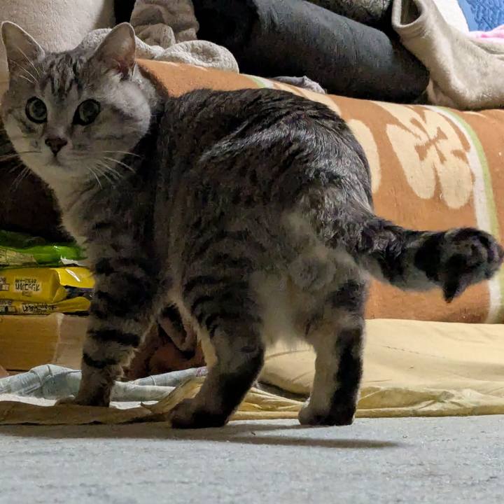 915f6e0a bbf0 4e4a 8d78 98c62a025616 1741267956883