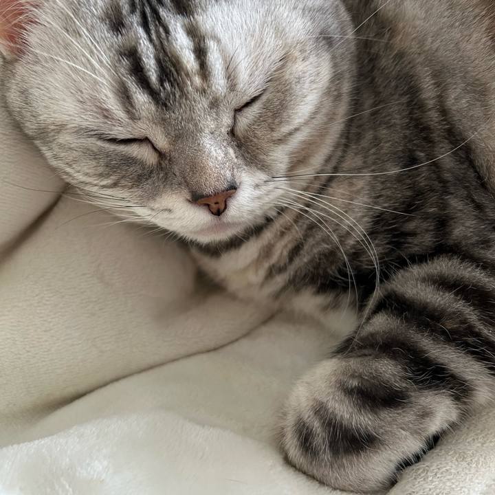 915f79ab 1be4 4b49 8d7c ca4fc692ee99 1762467736097