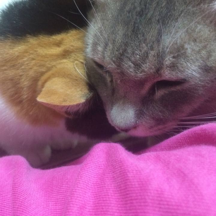 915f7d54 28af 4dfb 9a6f 5689b15edbcc 1527123524326