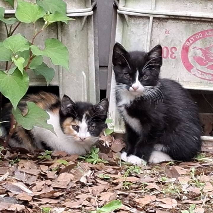 915facf5 8f78 4ab9 8a1d e454e83d0ee5 1749792124894