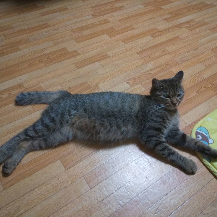 915fb12a 12f8 4148 a719 f0092da684a3 1567978980389