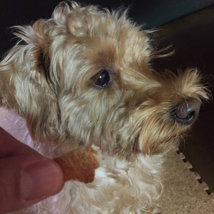 915fda75 e3bd 44fb 898b 8f22e8131c9b 1510572760071