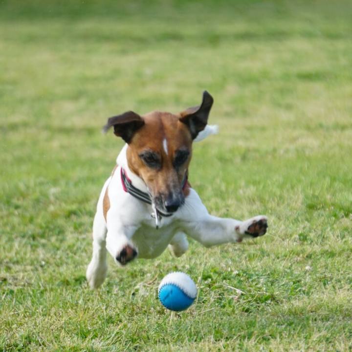 916006bd 3cce 4c98 9846 fcc0efd0a5b2 1557877761155