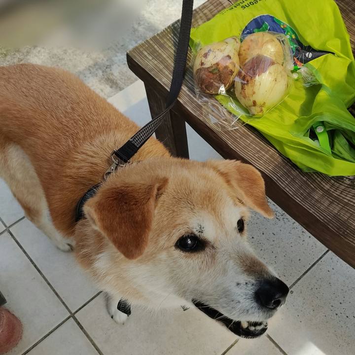 91601c83 a805 4f90 acb2 06c8c99243b0 1649926576610