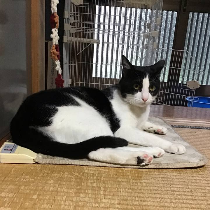 916057cd a513 4ecb b97b 596a812b9445 1652692277966