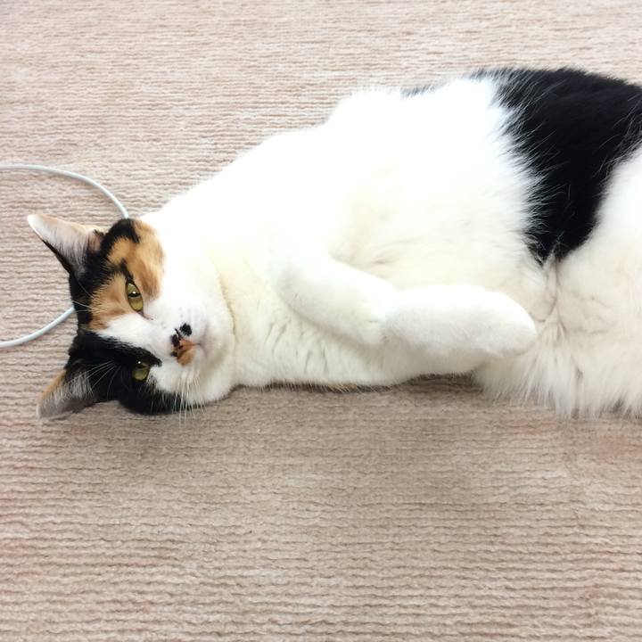 91605b0d 8044 4209 a215 43e95d6d83ec 1540125633532