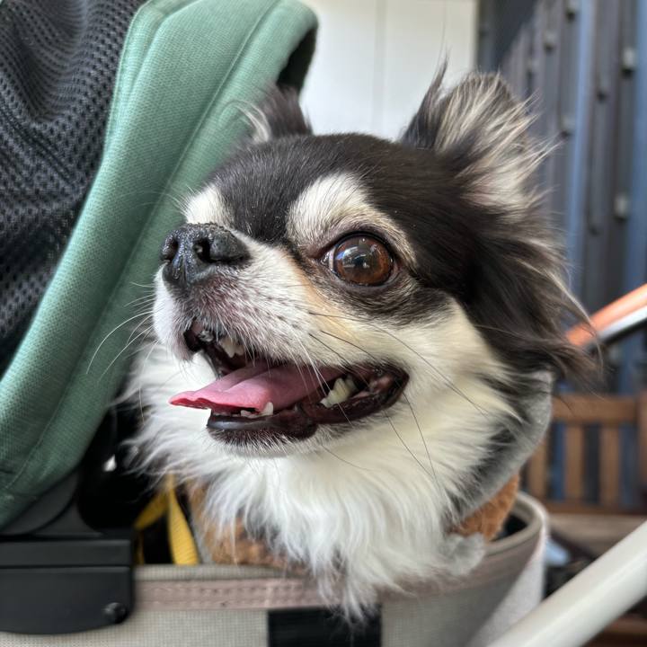 9160bea6 55ae 4ba3 b0fc a89c4fadcae6 1732464551488