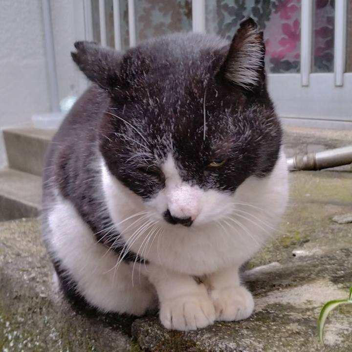 9160d6f3 a21c 4dfe ac9a 23f5814add56 1702596012865