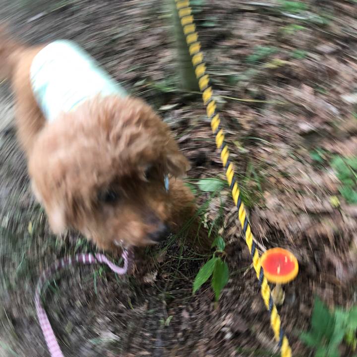 9160fd7d 532c 4073 89b6 c86f5936d29d 1601433430528