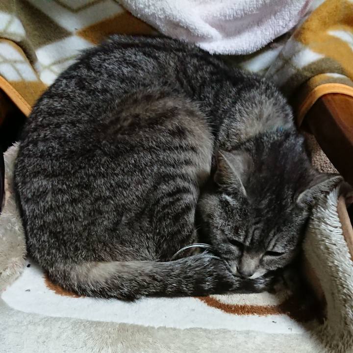 91610153 ab47 46b6 96a6 67a777c2a60c 1552039318282