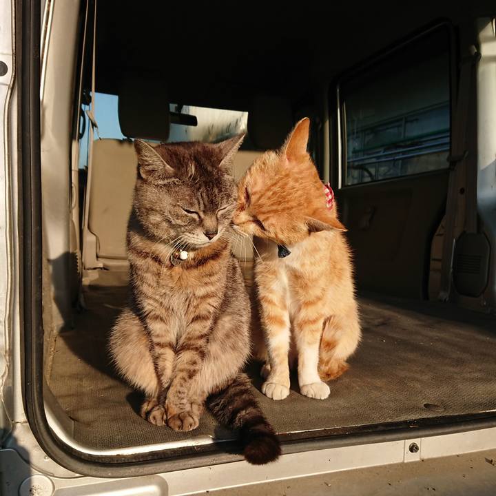 91610744 4349 4bce 84bc 416d267f3d86 1558730783115