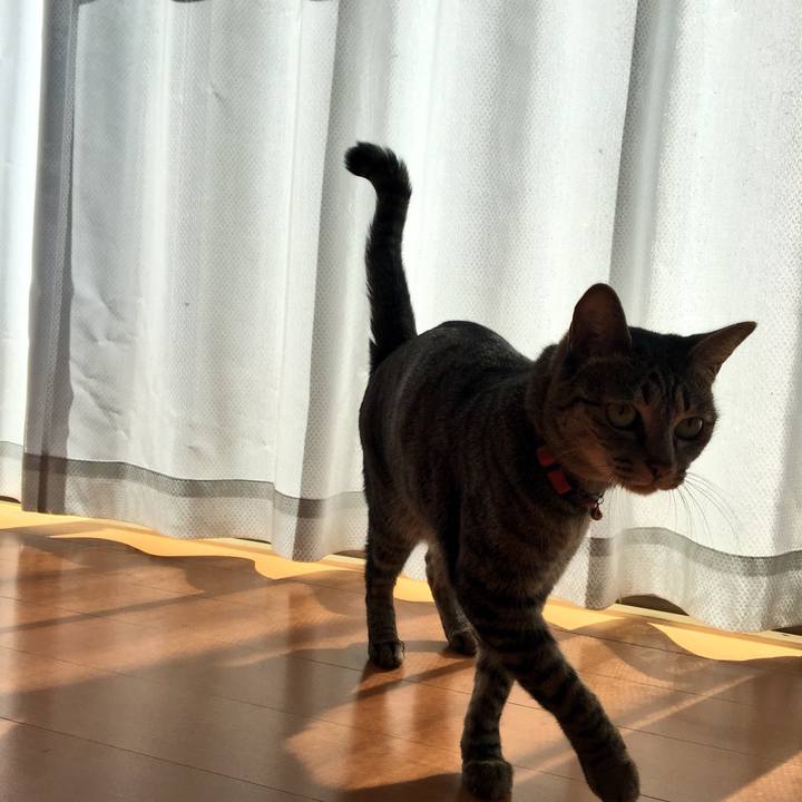 916123b9 5d05 4419 a2d4 db9223bee05e 1541129592721