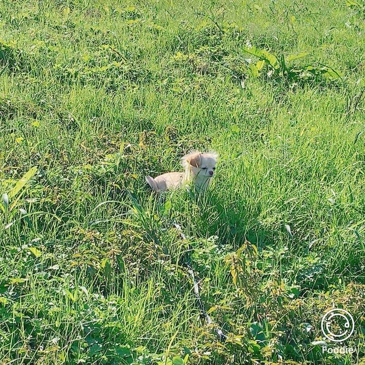 91613369 34f6 4eb0 bb97 02642261e8ee 1602823334013