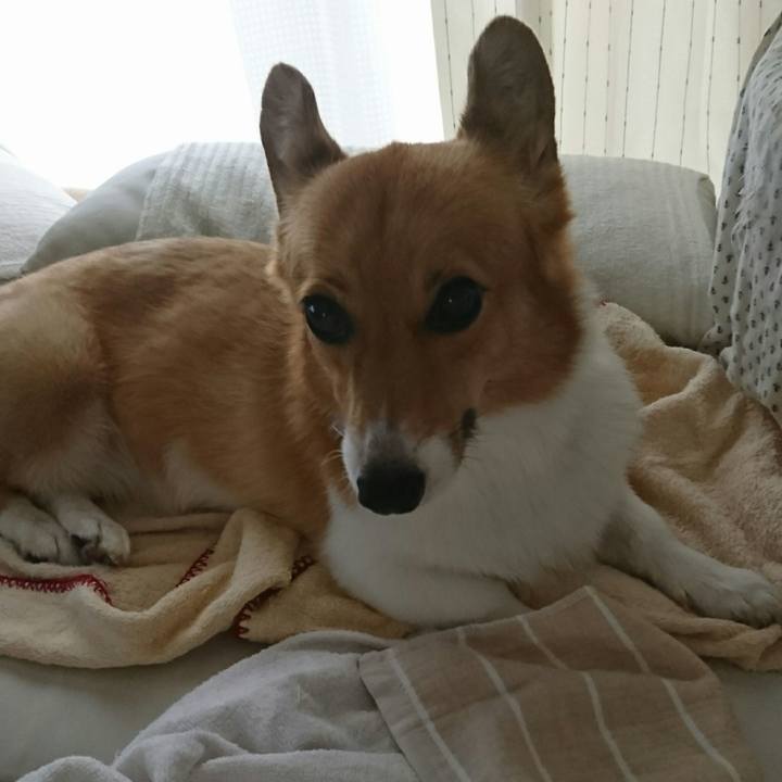 916134c4 9242 4306 8b05 af57cb44e8e5 1536895159250