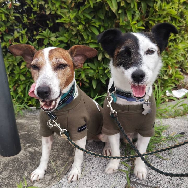 91613cb9 d63b 4b68 a178 5e0914cf290c 1751493658887