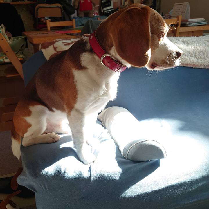 91613fb0 32fc 46e5 a156 1260f26b8bd4 1670981759422