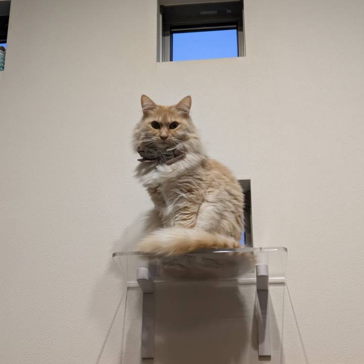 916179b1 c261 4285 8131 1ba248c70e1f 1738497978040