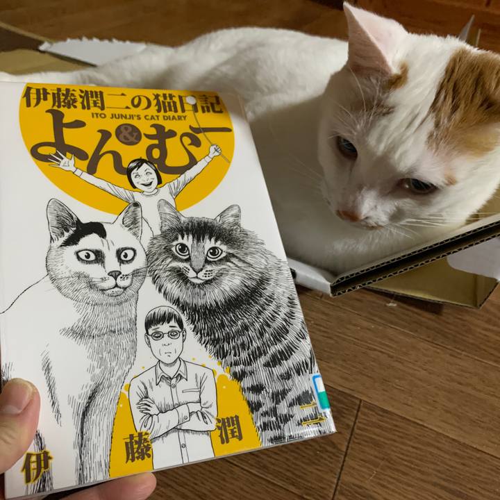 91617a1d 61be 44ac 9eb5 afa7a3f412b9 1645221046108