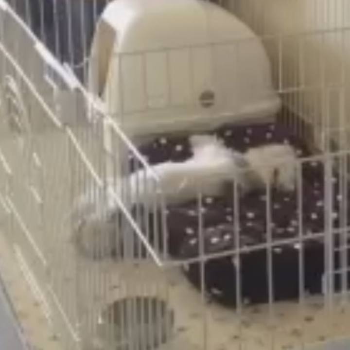 916186d0 51ea 4b75 823e 4a1c2324f82f 1572748076346