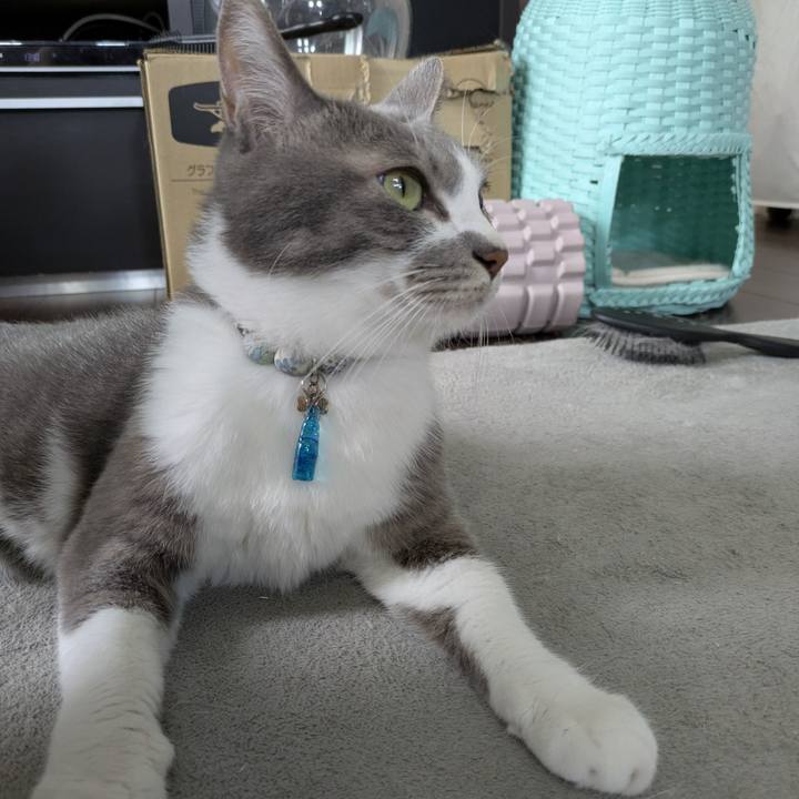 91622cfc d046 4148 a777 c7d3e35d471c 1759659602257