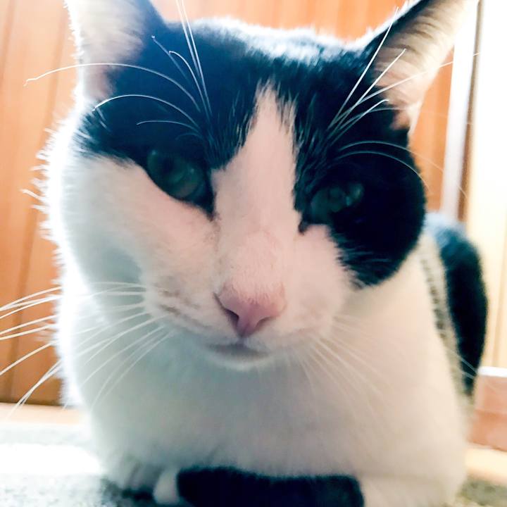 91623e05 00f4 4499 a980 8da885d2aabe 1511186711798