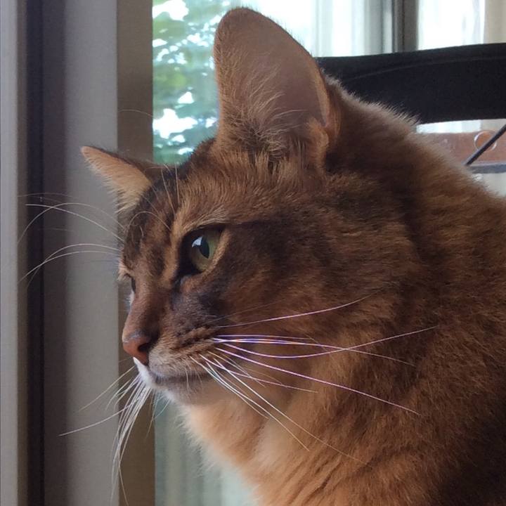 91625fad 07e5 4fac 91cf 81ddfe3b68b8 1631755636198