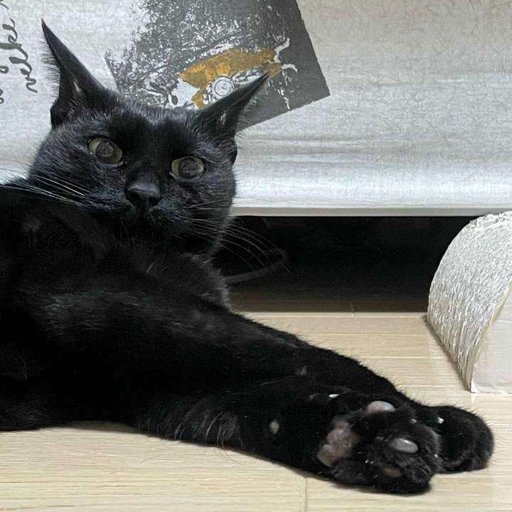 916261d0 8339 4460 afbd a5978a574f0d 1765545415405