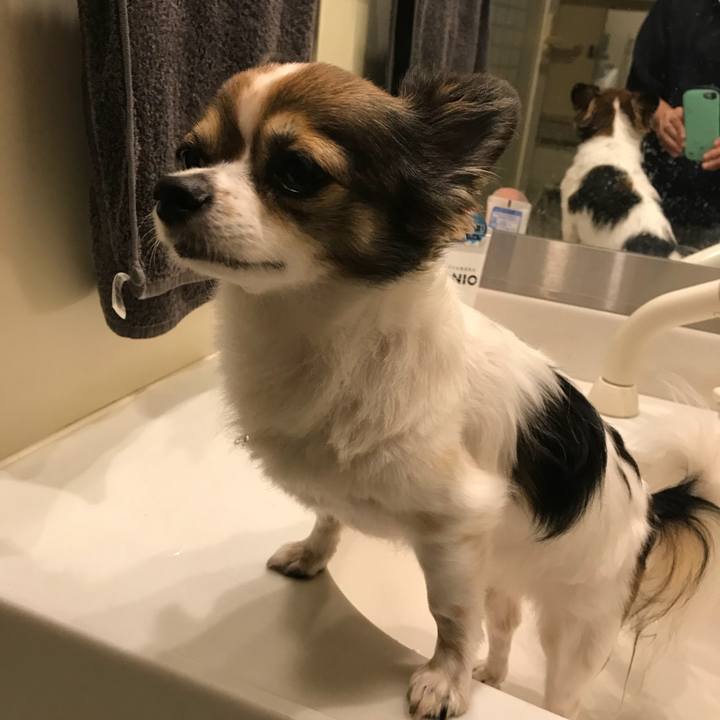 916266ca cbde 418c a5e8 fecd3e7d0489 1537615838072