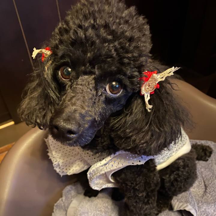 9162679c 8f64 4d7a ad06 91cc0bb9b742 1589450990373