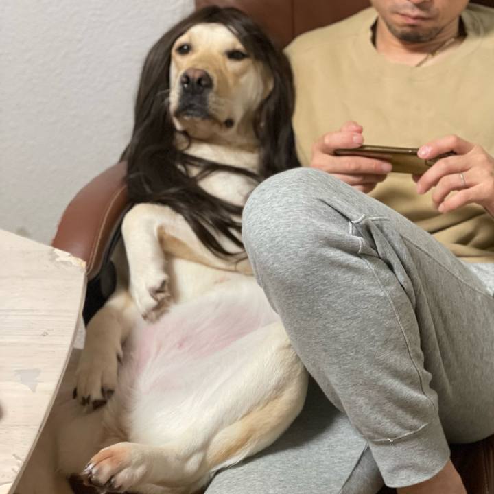 916292be 20b2 46df b37d 152a68b6437c 1681977566285