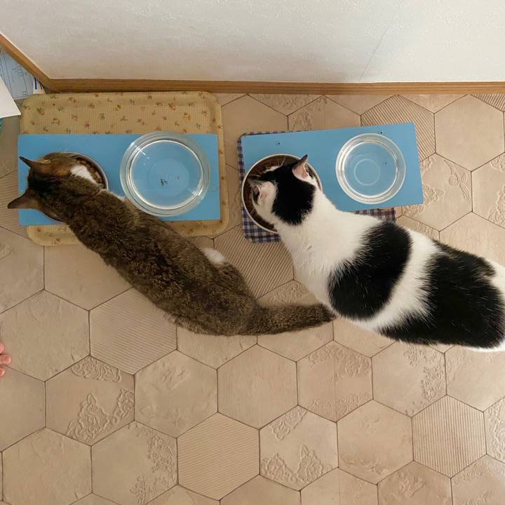 9162e573 0c68 4695 969a e47751f1a288 1596365453664