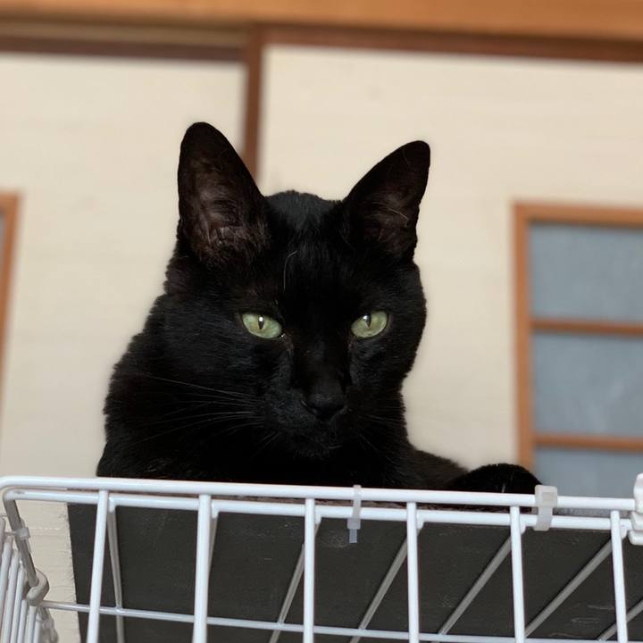 9162ec04 20a6 4630 b682 e192453a6fbe 1560386837569