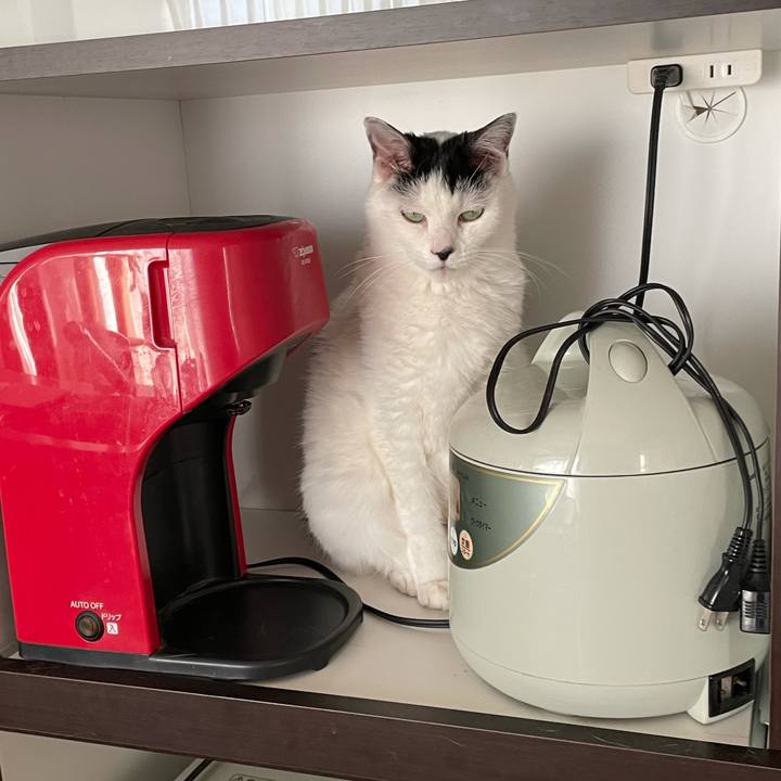 9162ef21 9224 499d 9b01 ad7be14a85ed 1608549423340