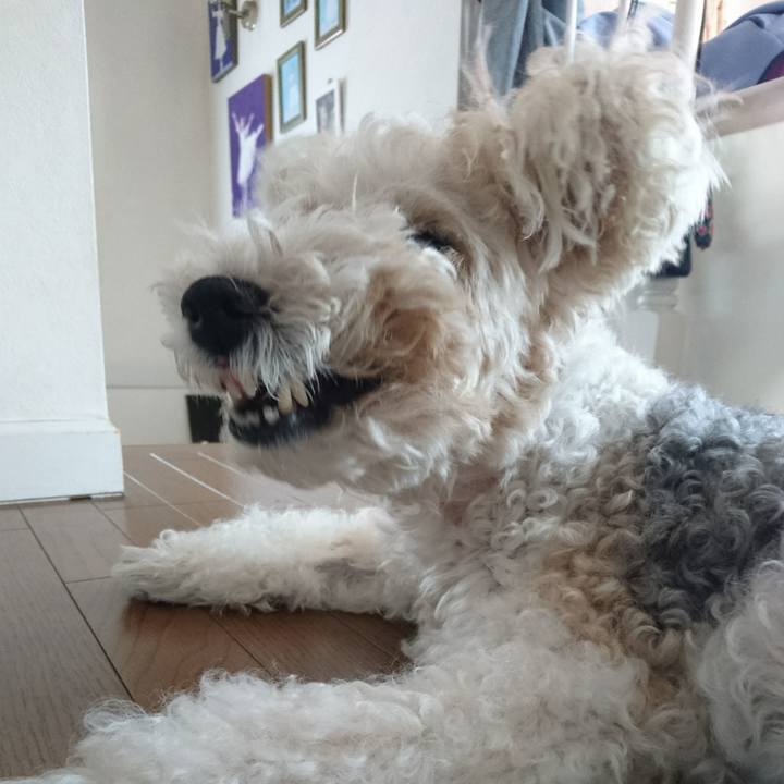 91630224 eea5 4e46 823c 74e108c59fd3 1588314997233