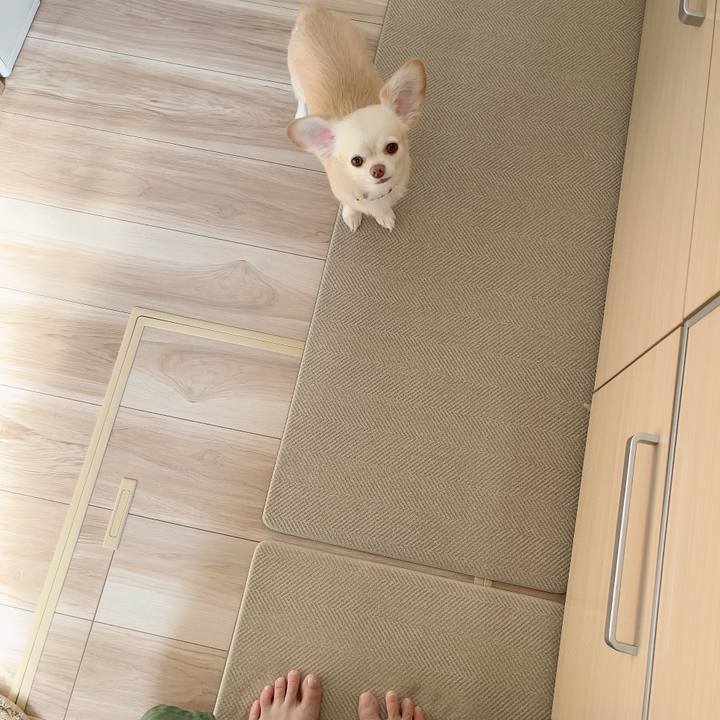 91630a06 41a5 49ac b83d 7a956ef9eae4 1724391253042