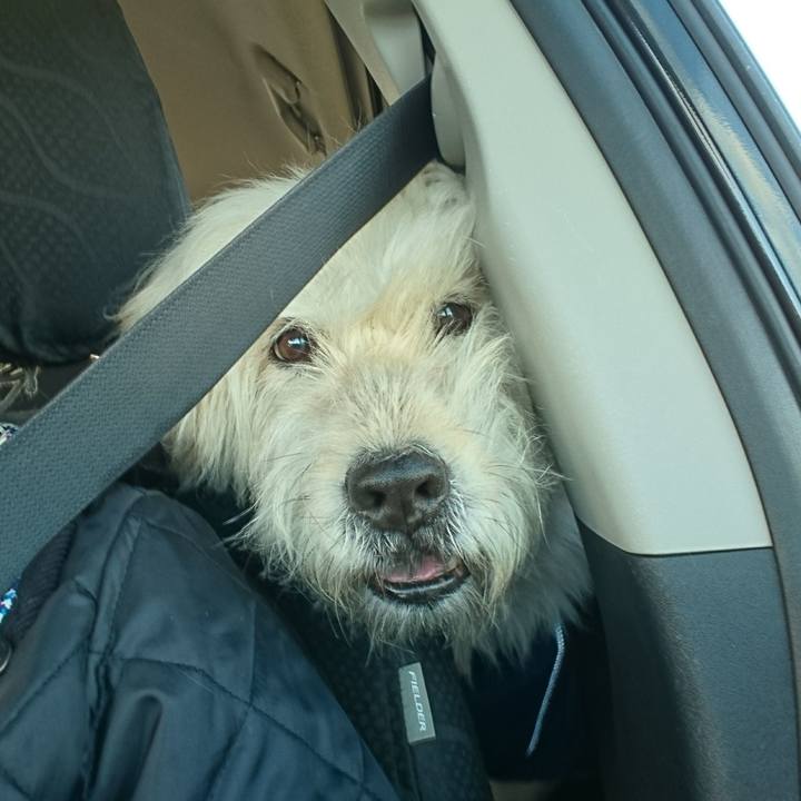 91633699 e427 4f1e 8f39 7161af528c69 1577516067141