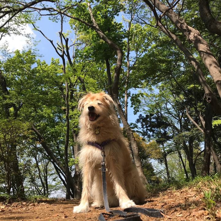 916338af 2dcf 4418 8d34 25cd40a80d6f 1555559234275