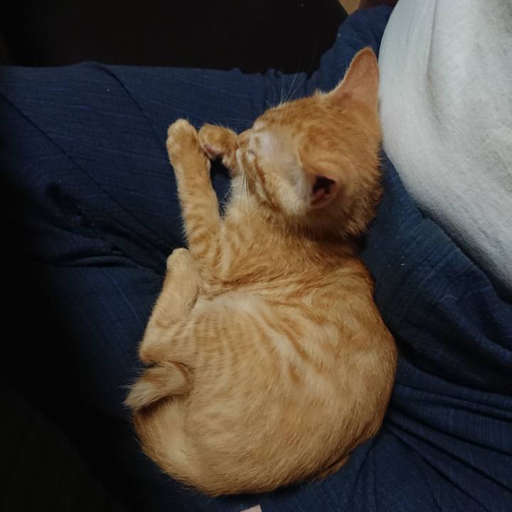 916347b2 3246 40ca 85ca 6e92ef5d5b4a 1631272856536