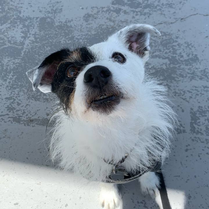 91634cca f509 4f32 ac0d ae45f222155e 1715481443250