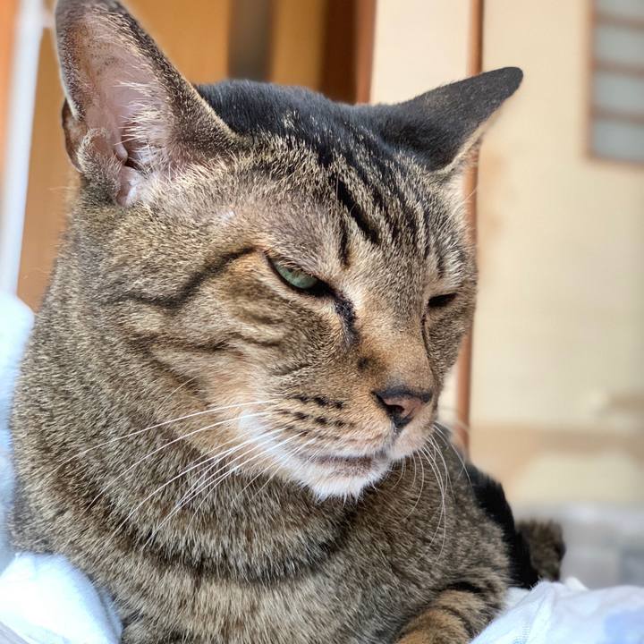 91636022 ec47 4841 b06f 26adfb79cf9a 1592702493513