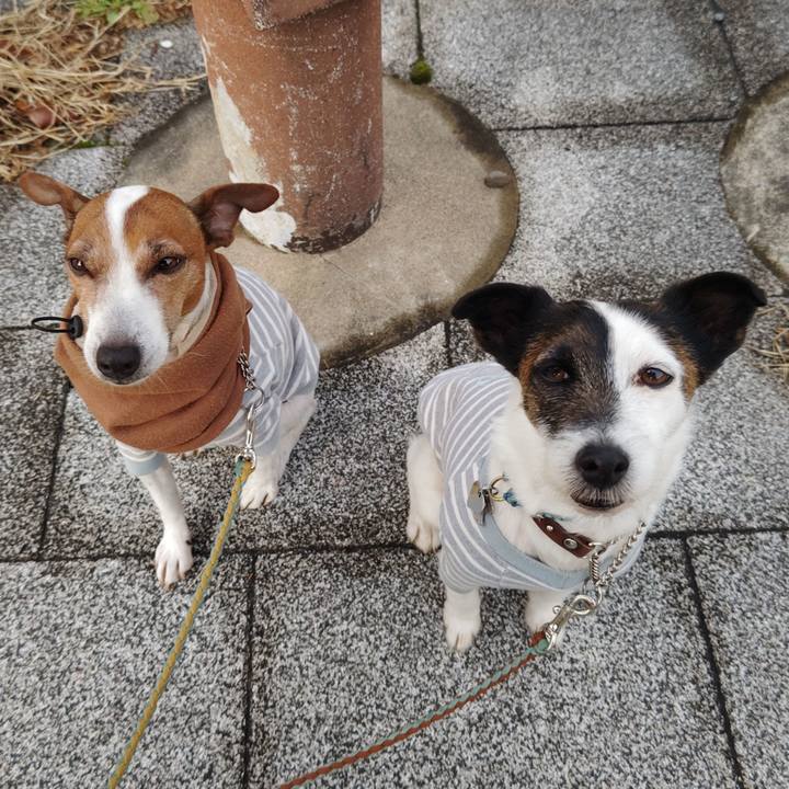 916385ac 2141 4867 9ddf f19764db140a 1741038656472